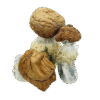 Order Puerto Rican Mushrooms Delivery in Texas