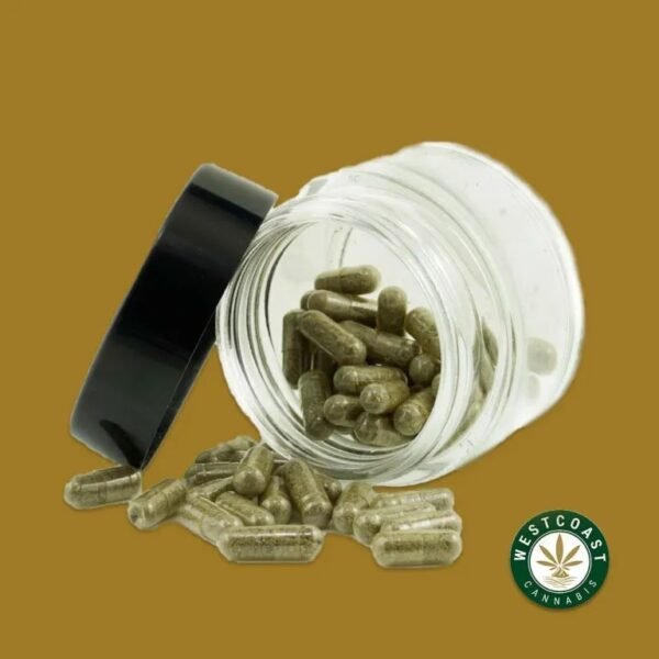 Alice Micro Dose Capsules – Scooby Snacks - Image 2